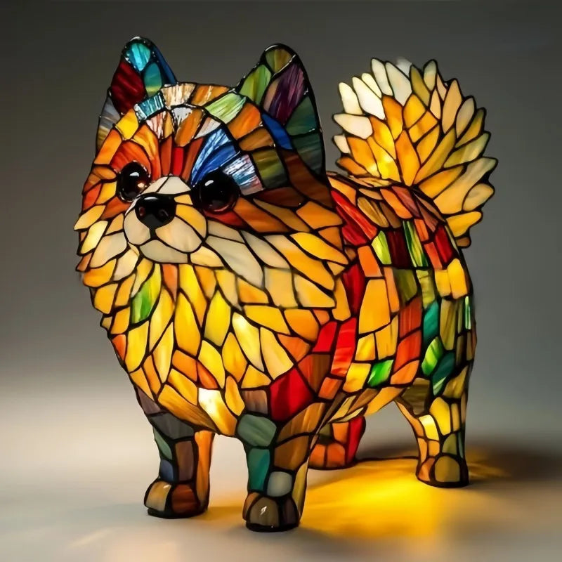 Simba - pomeranian rozbłysk światła